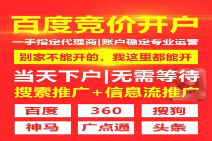 sem托管服务实战案例：精准定位，广告投放效果显著